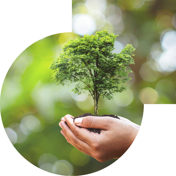 關懷人類、文化、環境與社會